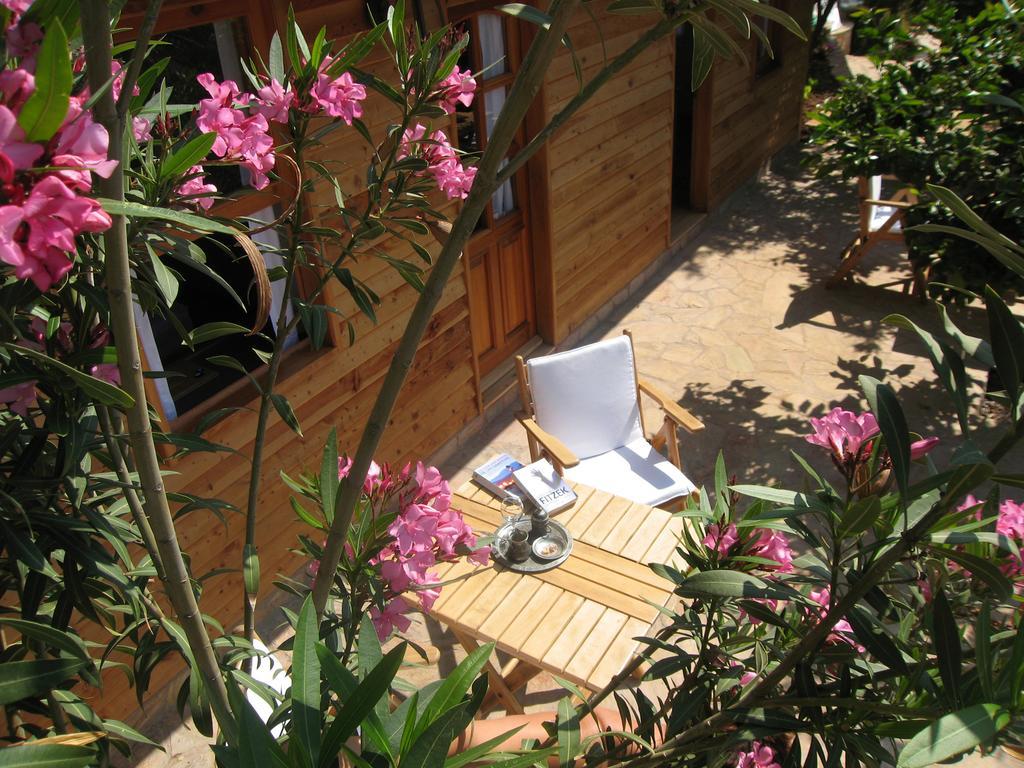 Lycia Hotel Kaş Rum bild
