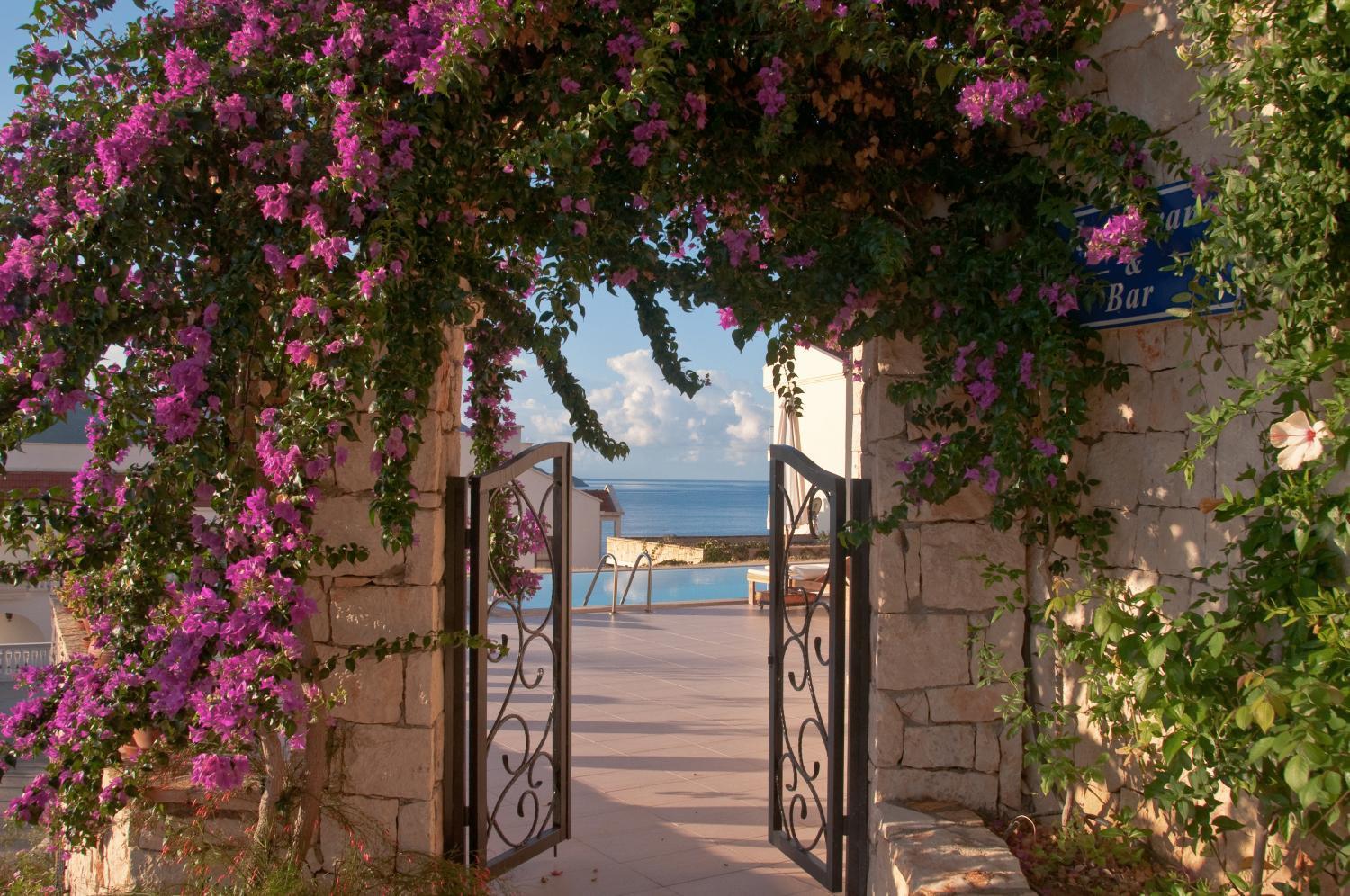 Lycia Hotel Kaş Exteriör bild