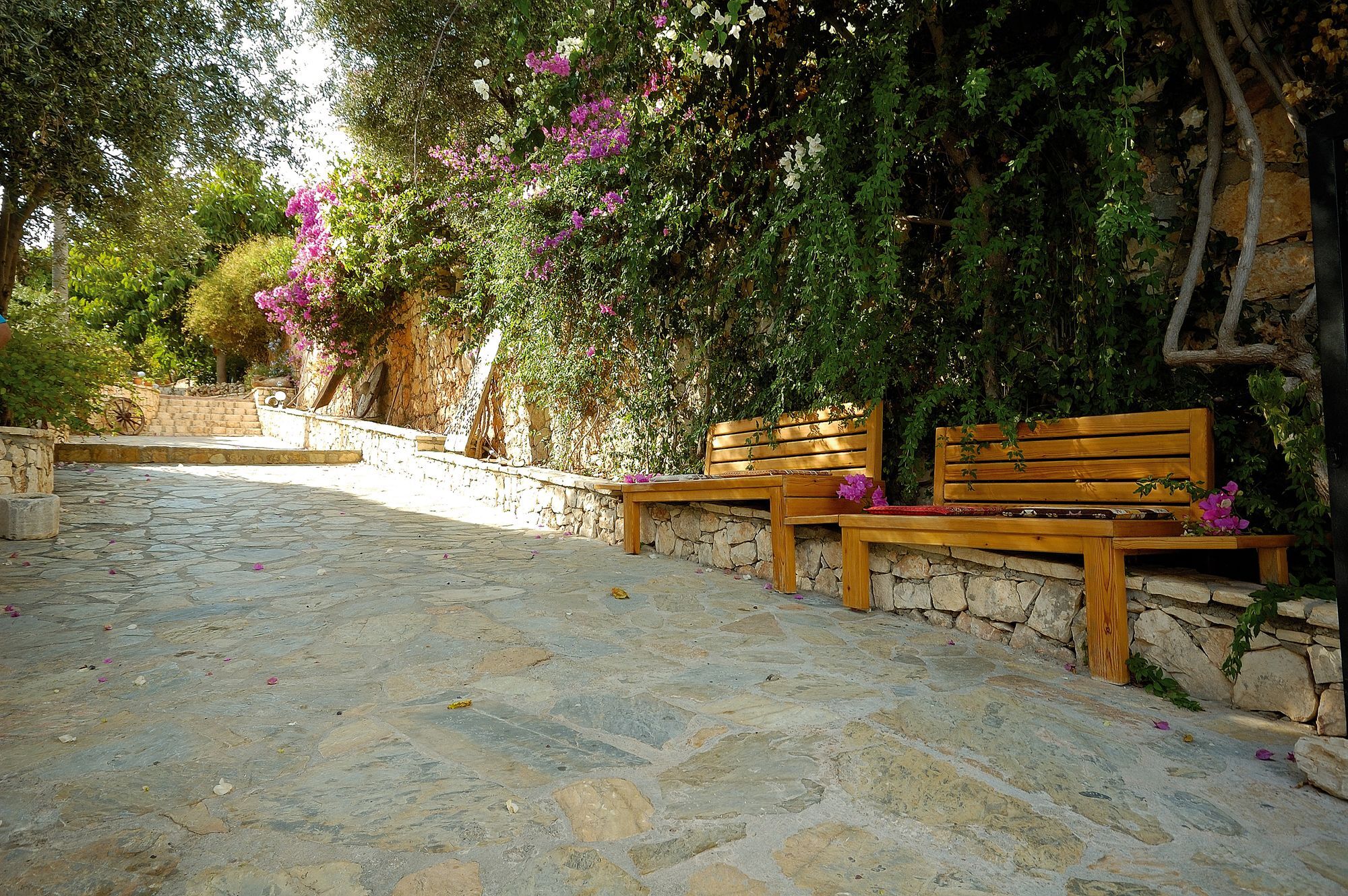 Lycia Hotel Kaş Exteriör bild